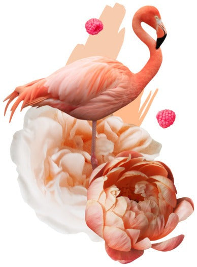 Flamingo – poster
