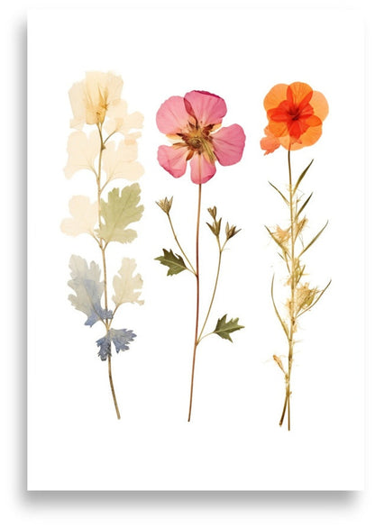 Pressade blommor – Vit, rosa och orange trio