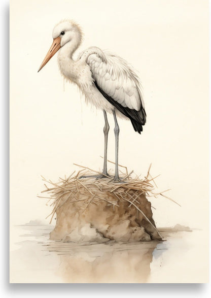 Stork – Stork på boet