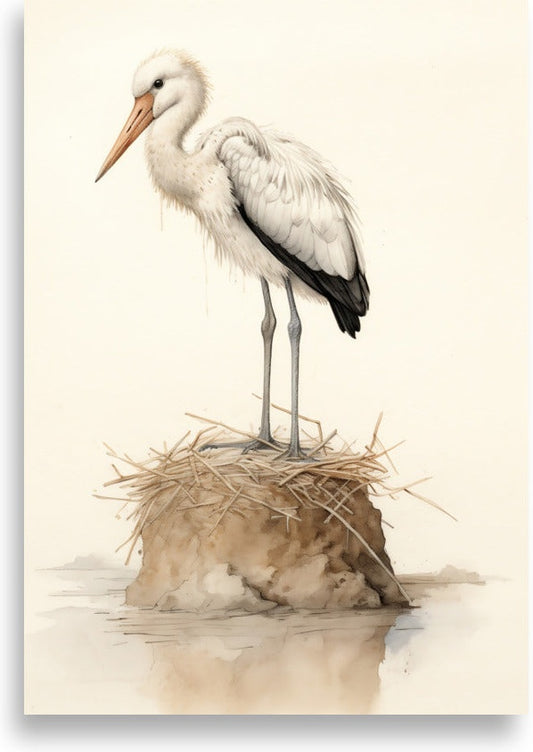 Stork – Stork på boet