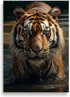 Tiger – Tiger i vattnet