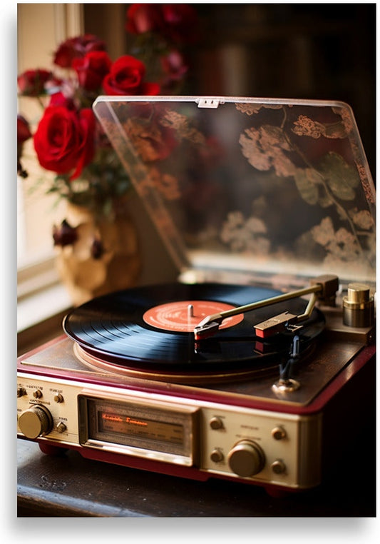 Vintage record player – Colorful funk